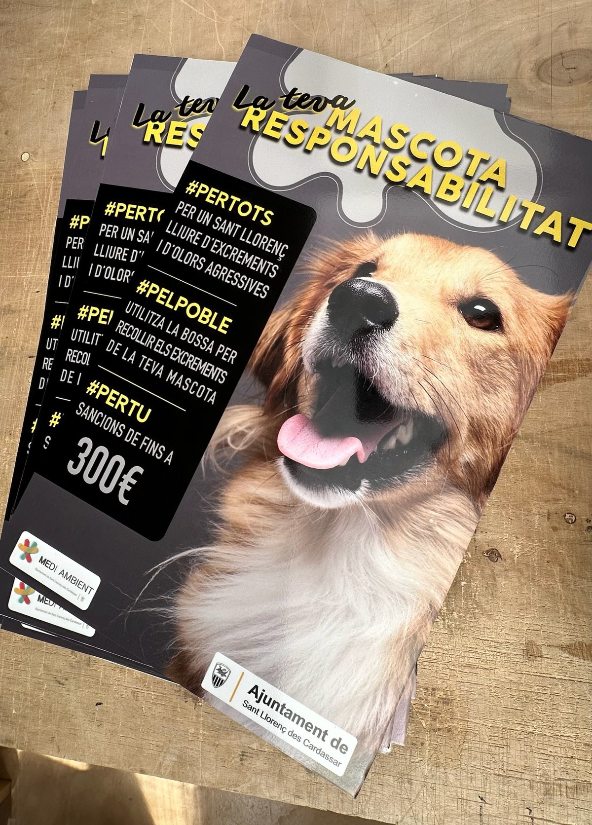Flyer de campanya sobre mascotes imprès a tot color
