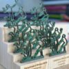 Trofeus de metall i fusta del Campionat d’Eivissa