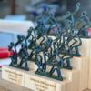 Conjunt de trofeus personalitzats en grada